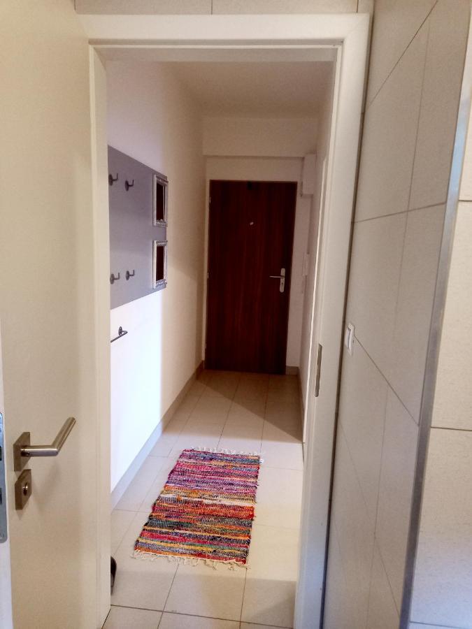 Apartmany Za Sneznikem Dolní Morava Dış mekan fotoğraf