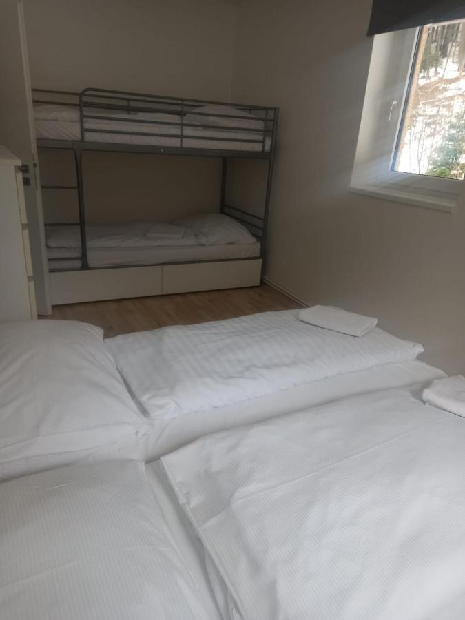 Apartmany Za Sneznikem Dolní Morava Dış mekan fotoğraf