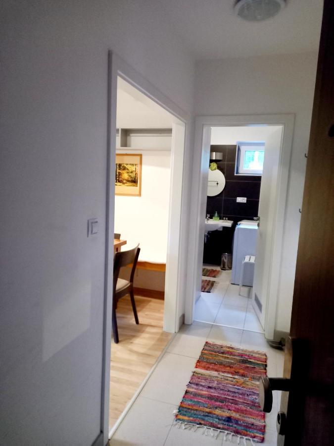 Apartmany Za Sneznikem Dolní Morava Dış mekan fotoğraf